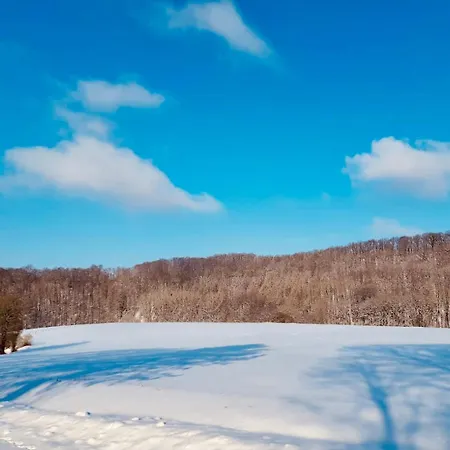 Prázdninový dům Extertal-Ferienpark - Sonnenhuegel